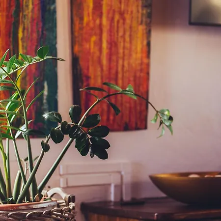 Casa Natura Bed & Breakfast